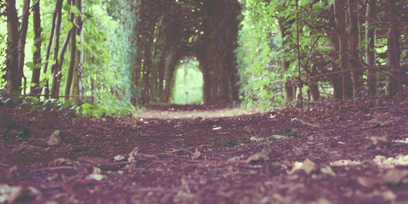 沈阳故宫：满汉文化融合的禅意艺术与清初政治象征的文化推广价值