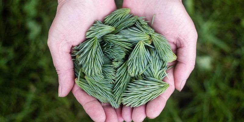 盛世文化中的辽宁工业文学：共和国长子的记忆书写与时代回响