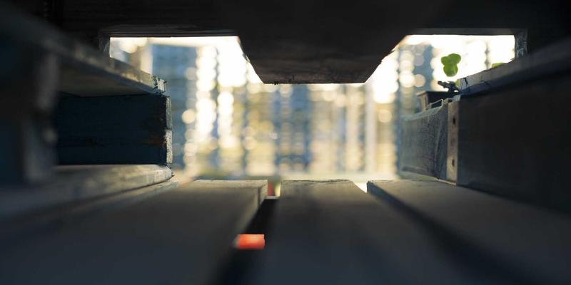 禅意艺术与活态传承：探秘辽宁非物质文化遗产名录及保护现状