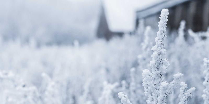 禅意艺术与盛世文化：探秘朝阳鸟化石国家地质公园的科学价值与公众科普