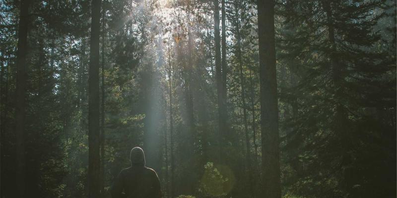 禅意艺术与辽宁文化的交融：探秘本溪水洞的地质奇观与民间传说
