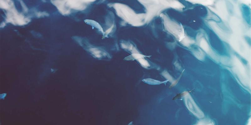 辽宁文化21：以艺术交流为桥，共绘盛世文化新图景