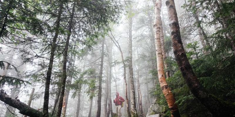 辽宁文化全景图：从历史根脉到现代活力的多元绽放