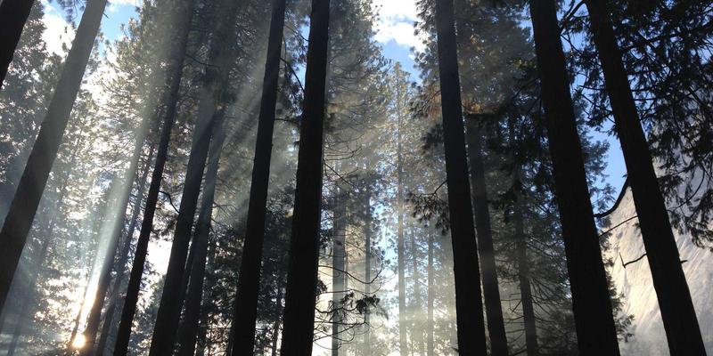 辽宁文化探源：从查海遗址到红山文化的禅意艺术与文明曙光