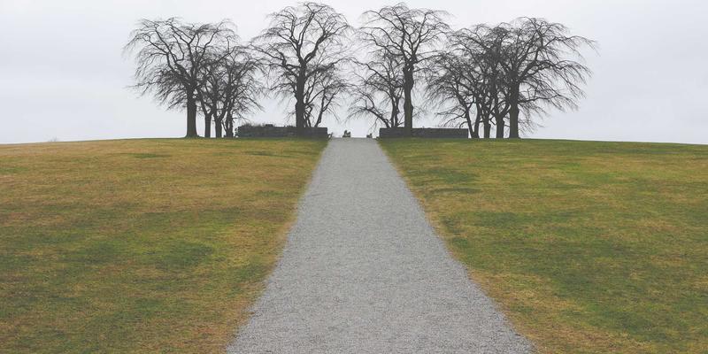 辽宁文化瑰宝：阜新玛瑙雕刻技艺，千年矿脉滋养下的国家级非遗匠心