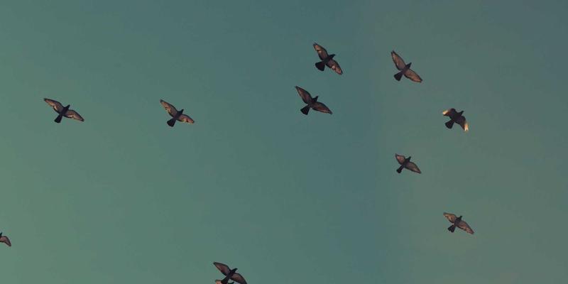 辽宁文化进阶：禅意艺术与当代对话中的精神寻根