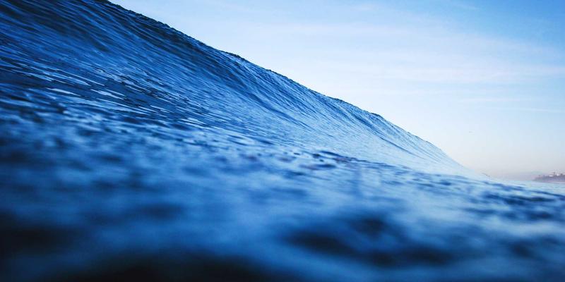 辽西化石的禅意艺术：探秘热河生物群的科学瑰宝与人文之旅