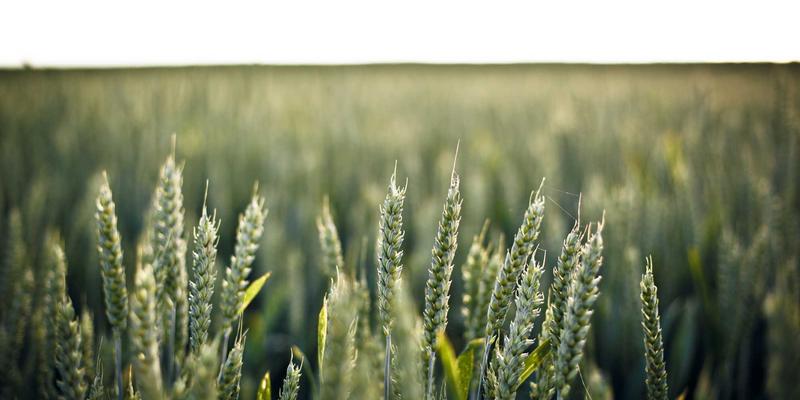 辽西走廊：千年地理通道中的文化推广与艺术交流密码